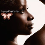 Angelique Kidjo - Djin Djin