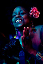 Pigeon island patron