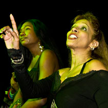 Pigeon island patrons