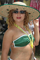 St. Lucia Jazz Festival patrons