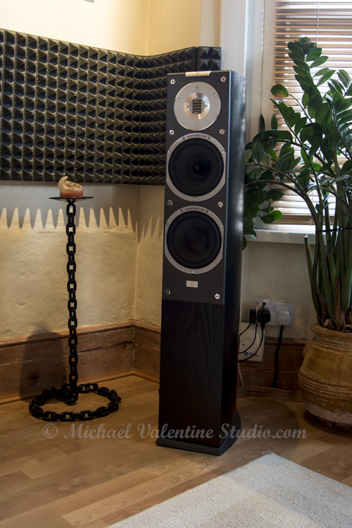 The Audiovector SR3 Avantgarde