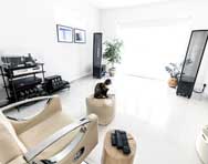 MartinLogan ESL11A speakers