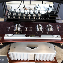 Cadenence Distribution