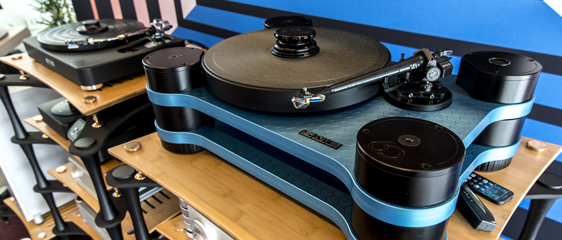 Cadenence Distribution