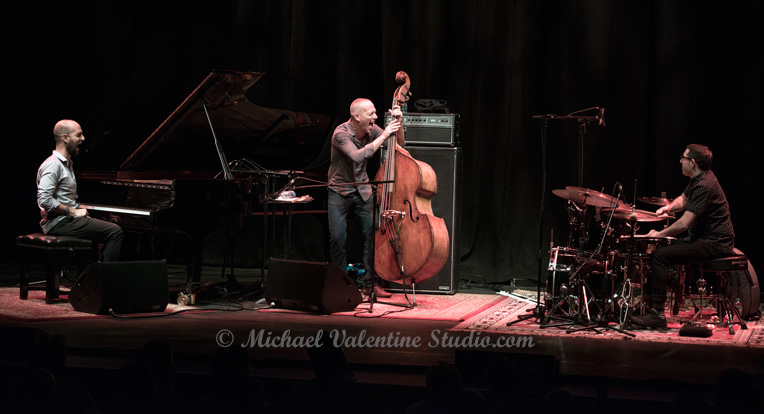 Avishai Cohen Trio