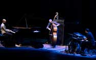 Avishai Cohen Trio