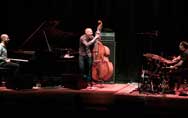 Avishai Cohen Trio
