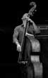 Avishai Cohen Trio