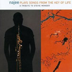 A tribute to Stevie Wonder