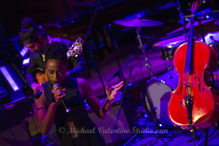 Terri Lyne Carrington Social Science Community