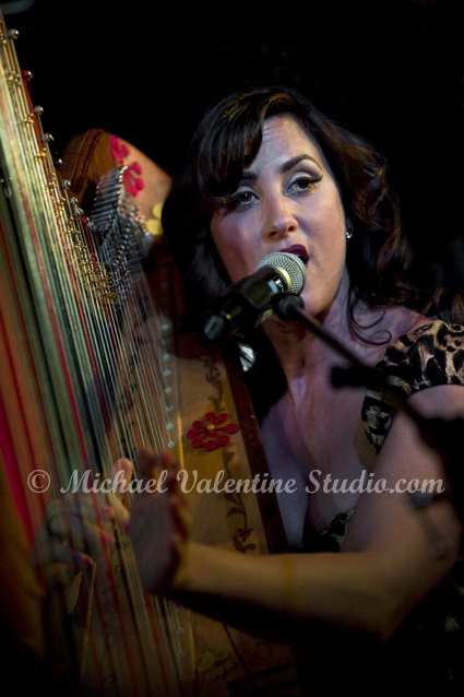 My Voice and My 45 Strings