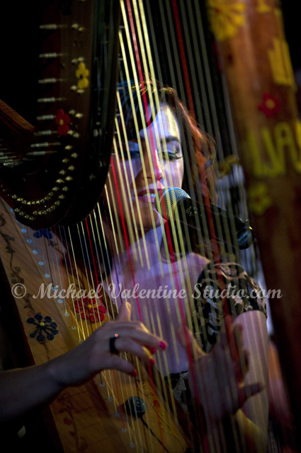 My Voice and My 45 Strings