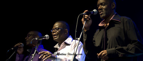 Giants of Lovers Rock 3 Backing Singers